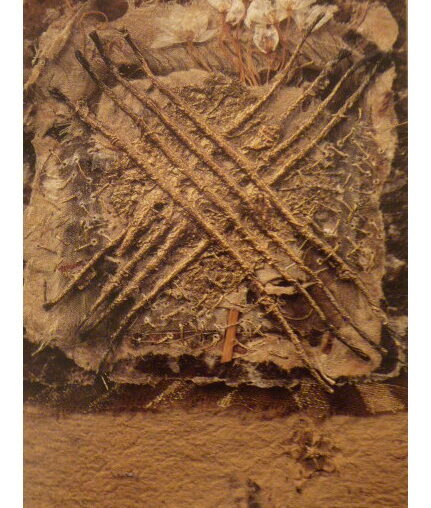 Postcards – Jenny Chippindale