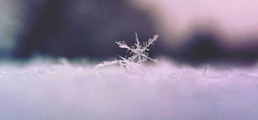 Snowflakes